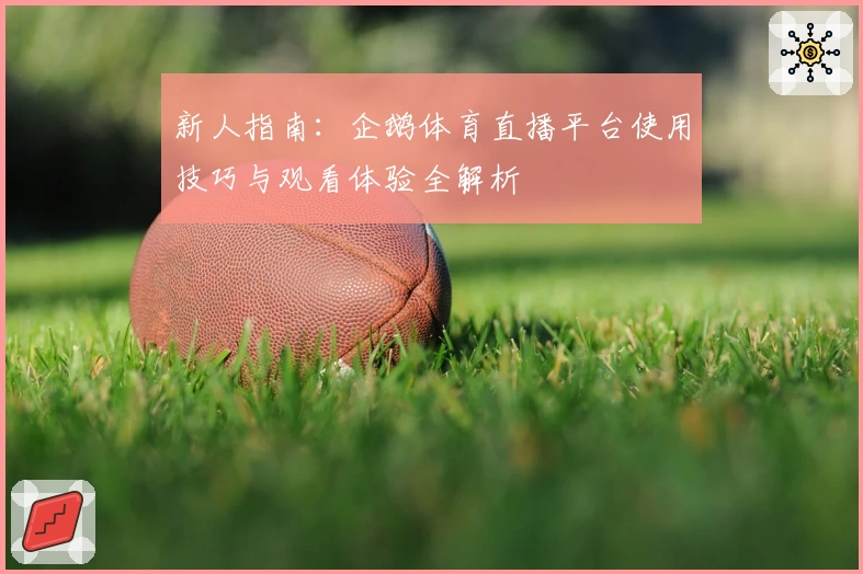 新人指南：企鹅体育直播平台使用技巧与观看体验全解析