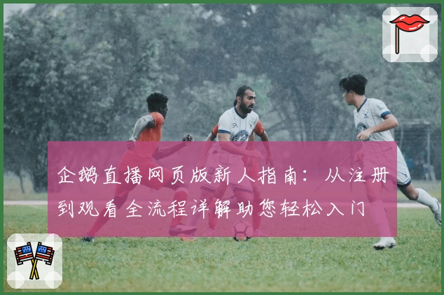 企鹅直播网页版新人指南：从注册到观看全流程详解助您轻松入门