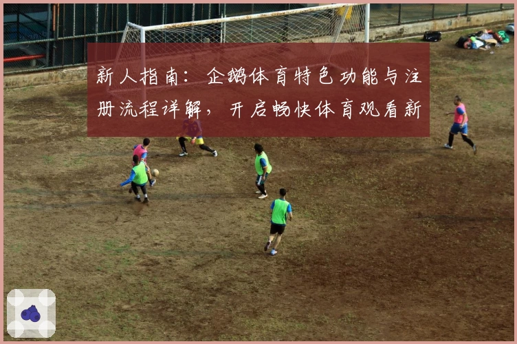 新人指南：企鹅体育特色功能与注册流程详解，开启畅快体育观看新体验