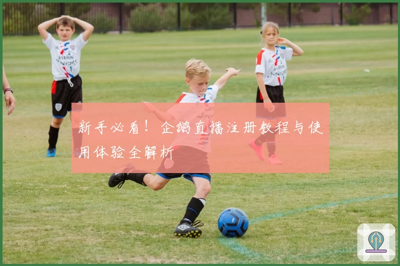 新手必看！企鹅直播注册教程与使用体验全解析