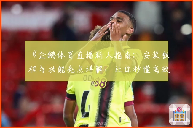 《企鹅体育直播新人指南：安装教程与功能亮点详解，让你秒懂高效操作》