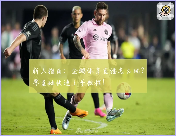 新人指南：企鹅体育直播怎么玩？零基础快速上手教程！