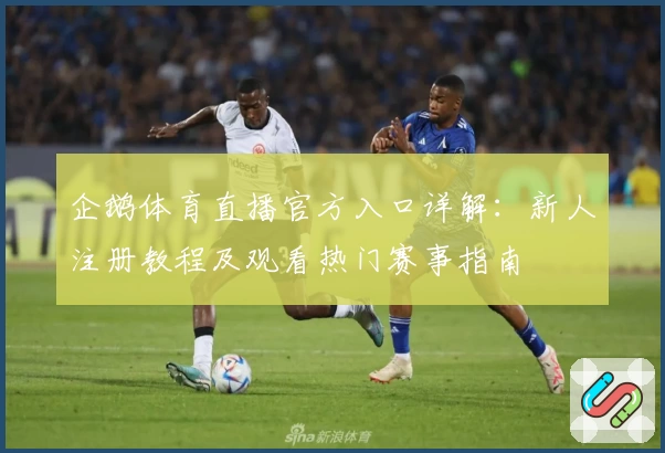 企鹅体育直播官方入口详解：新人注册教程及观看热门赛事指南