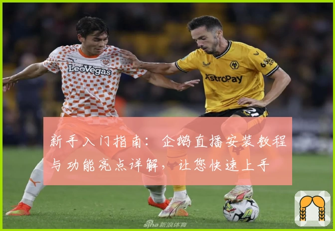 新手入门指南:企鹅直播安装教程与功能亮点详解,让您快速上手
