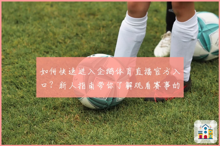 如何快速进入企鹅体育直播官方入口？新人指南带你了解观看赛事的最佳体验