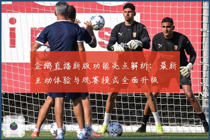 企鹅直播新版功能亮点解析：最新互动体验与观赛模式全面升级