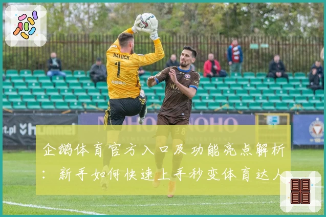 企鹅体育官方入口及功能亮点解析：新手如何快速上手秒变体育达人