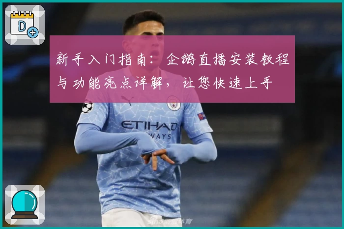 新手入门指南：企鹅直播安装教程与功能亮点详解，让您快速上手